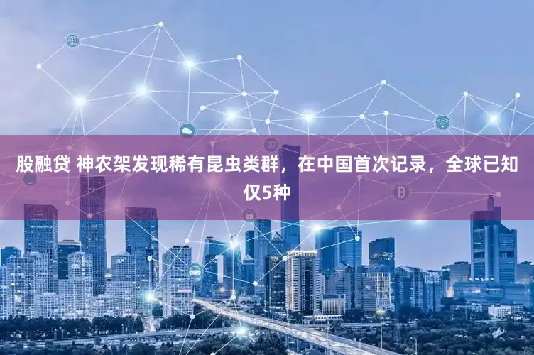 股融贷 神农架发现稀有昆虫类群，在中国首次记录，全球已知仅5种