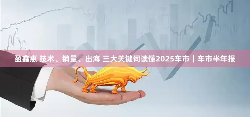 盈鑫惠 技术、销量、出海 三大关键词读懂2025车市｜车市半年报