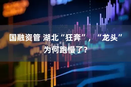 国融资管 湖北“狂奔”，“龙头”为何跑慢了？