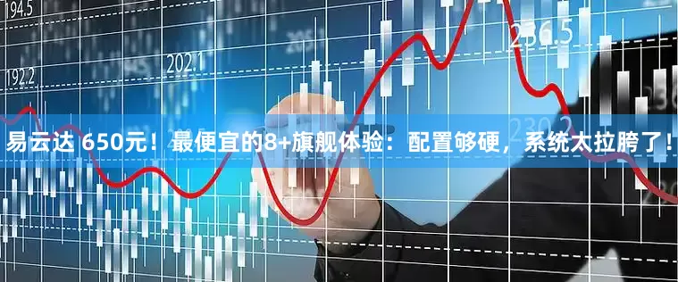易云达 650元！最便宜的8+旗舰体验：配置够硬，系统太拉胯了！