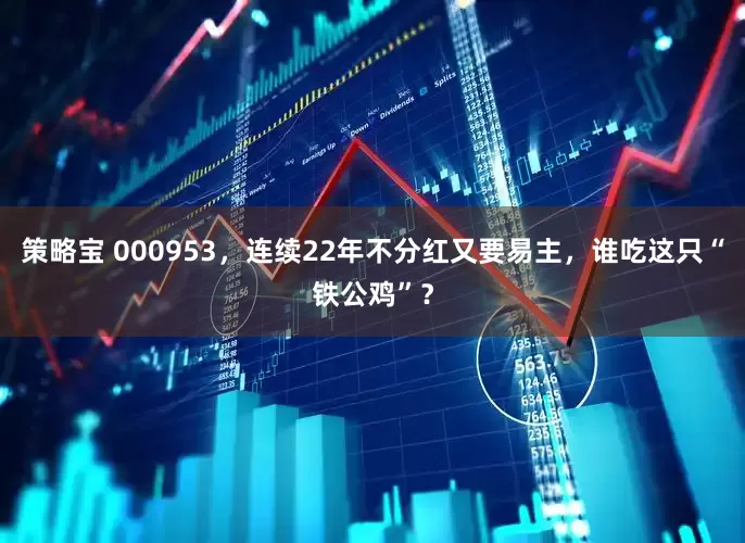 策略宝 000953，连续22年不分红又要易主，谁吃这只“铁公鸡”？