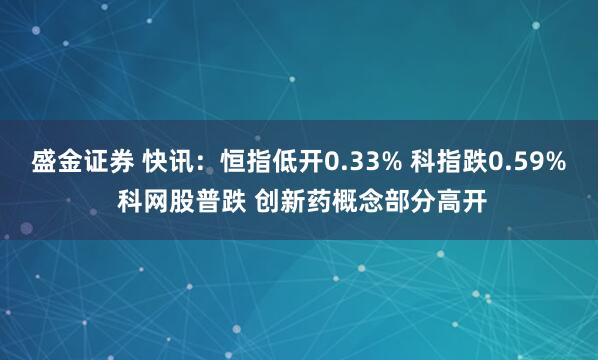 盛金证券 快讯：恒指低开0.33% 科指跌0.59% 科网股普跌 创新药概念部分高开
