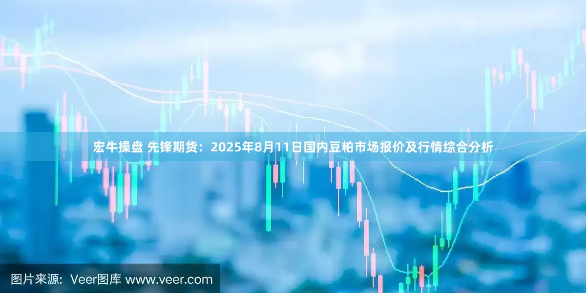 宏牛操盘 先锋期货：2025年8月11日国内豆粕市场报价及行情综合分析