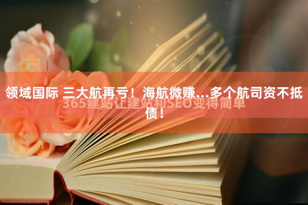 领域国际 三大航再亏！海航微赚...多个航司资不抵债！