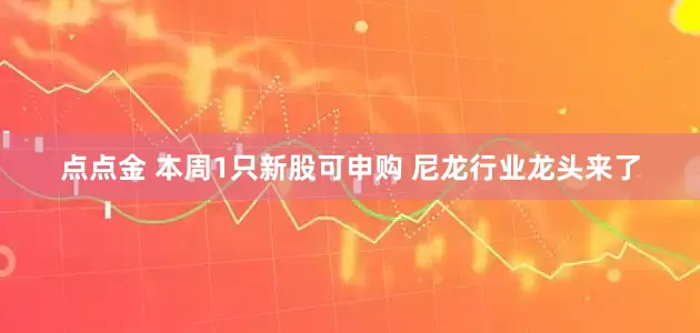 点点金 本周1只新股可申购 尼龙行业龙头来了