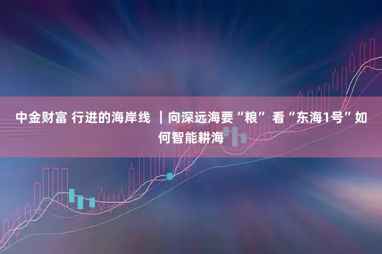 中金财富 行进的海岸线 ｜向深远海要“粮” 看“东海1号”如何智能耕海