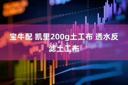 宝牛配 凯里200g土工布 透水反滤土工布